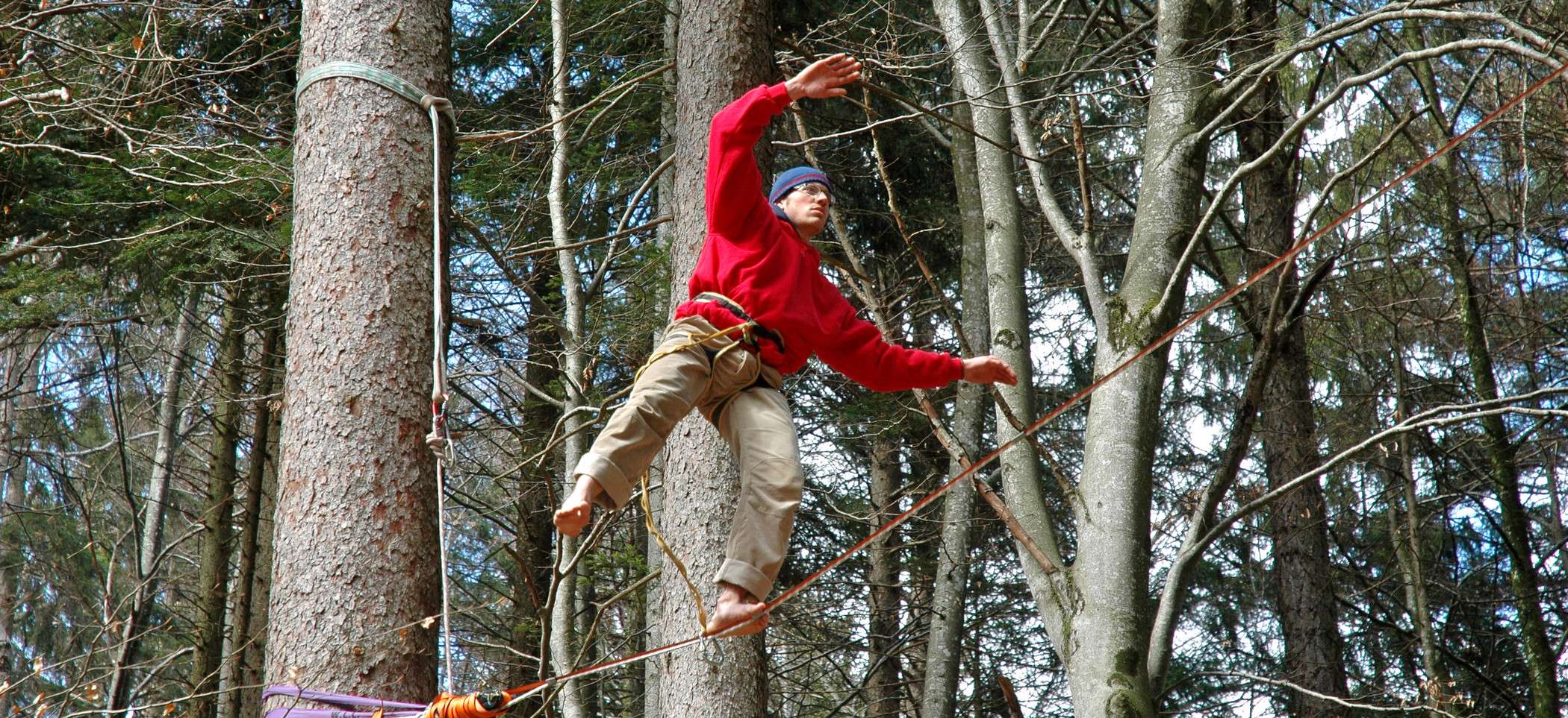 Visit the Seilpark Interlaken