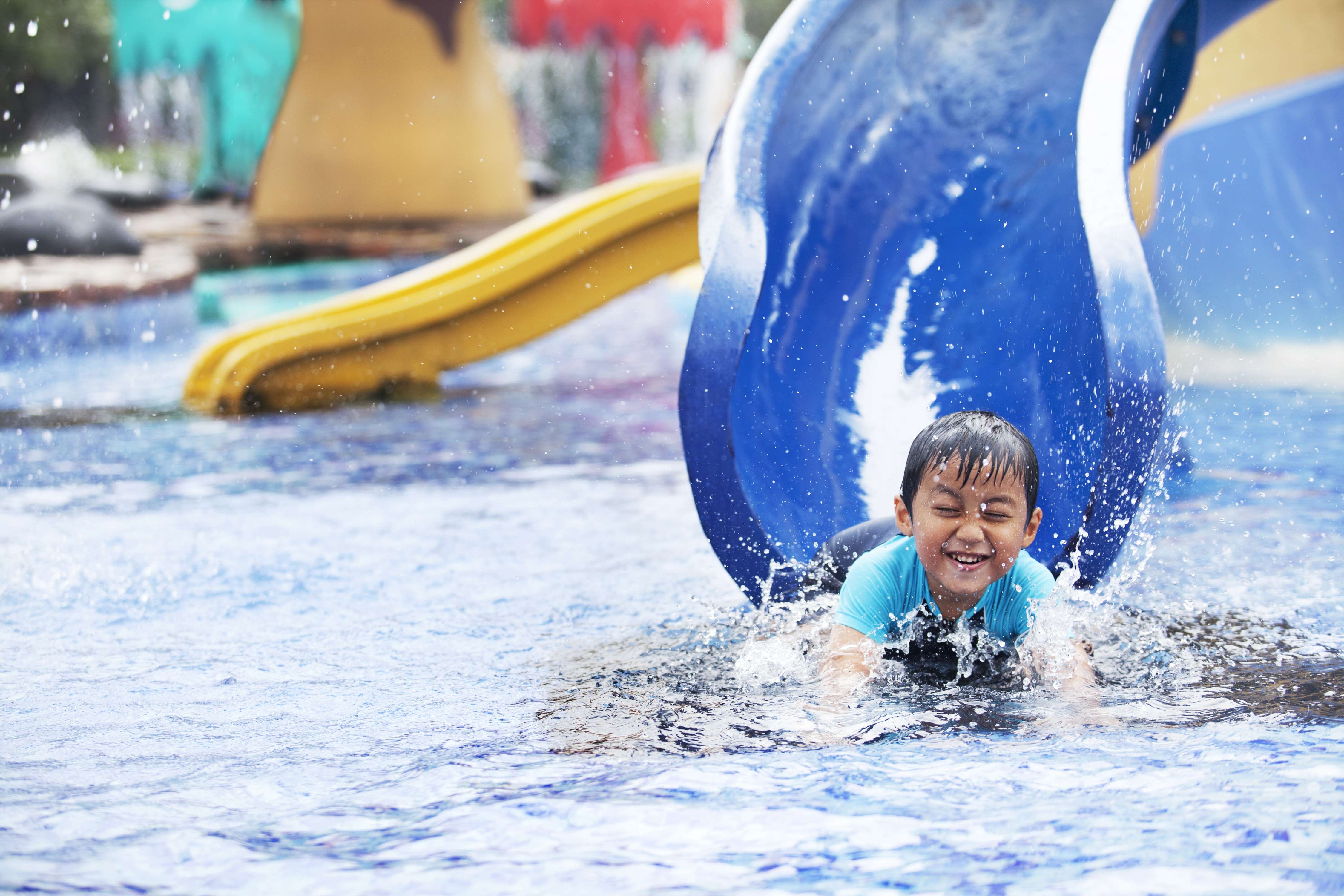 Dolphin Water Park