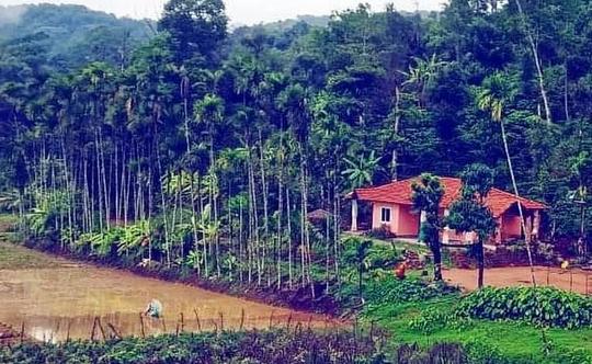 Hilltop Stay near Waterfalls in Sakleshpur