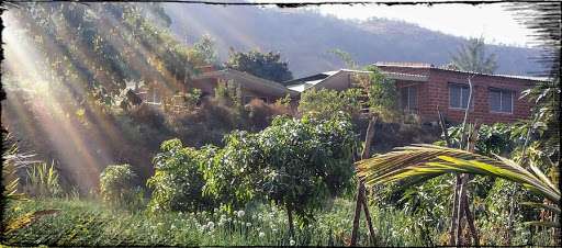 Teakwood Forest Resort.