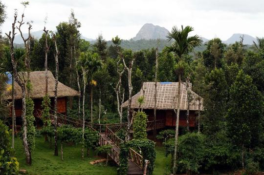 Cottage Stay Amidst Coffee Plantations, Wayanad