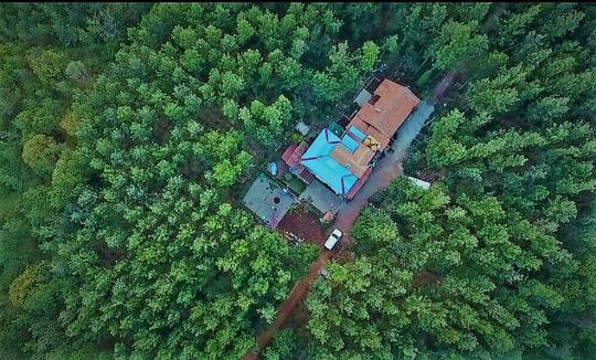 Forest View Homestay in Chikmagalur