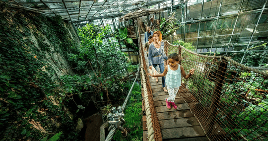 Gothenburg Travel Pass, Book Now @ Flat 20% off