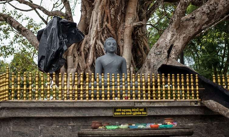 Enjoy the Serenity at Yatagala Raja Maha Viharaya