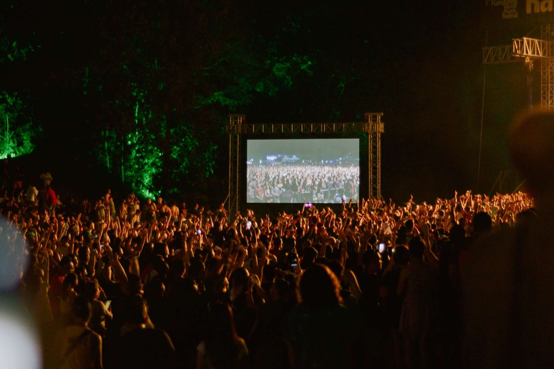 Watch a Film Under the Stars