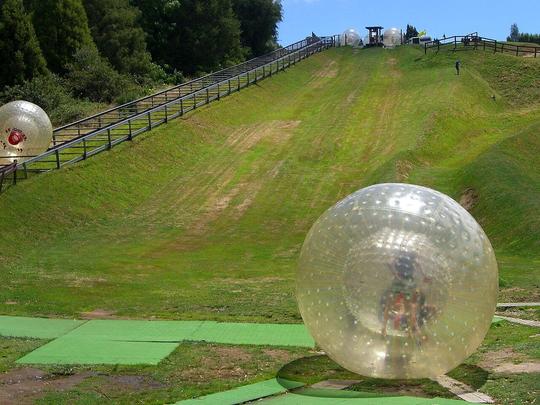 Lawn Zorbing near Jim Corbett Flat 10% off