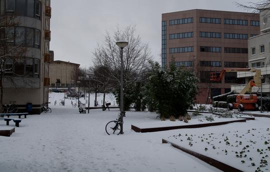 Amsterdam Weather in December