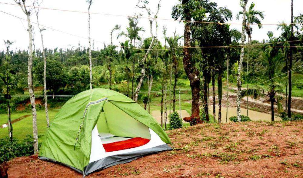 Camping with a View of Coffee Plantation in Chikmagalur