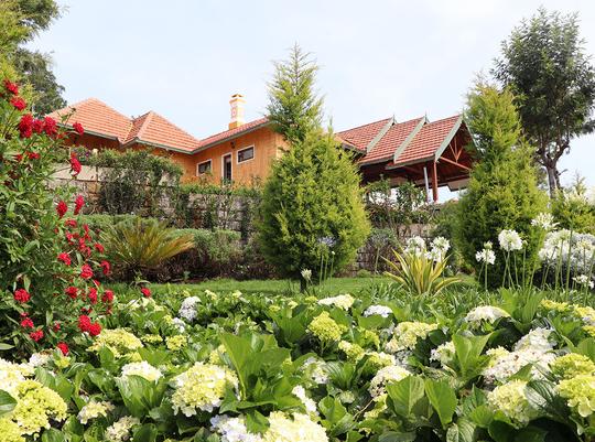 Nature View Homestay in Coonoor