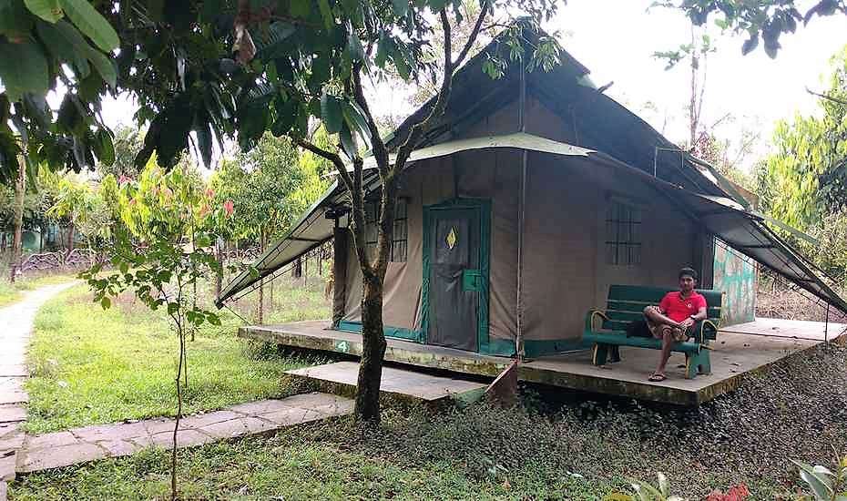 Nature Camping Experience in Kudremukh , Chikmagalur