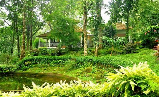 Stay in Nature with Plantation Experience