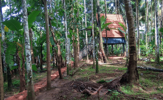 Riverside Stay in Wayanad