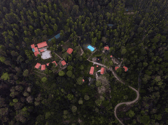 Boutique Stay in Wayanad: For the Lovers of Nature & Solitude