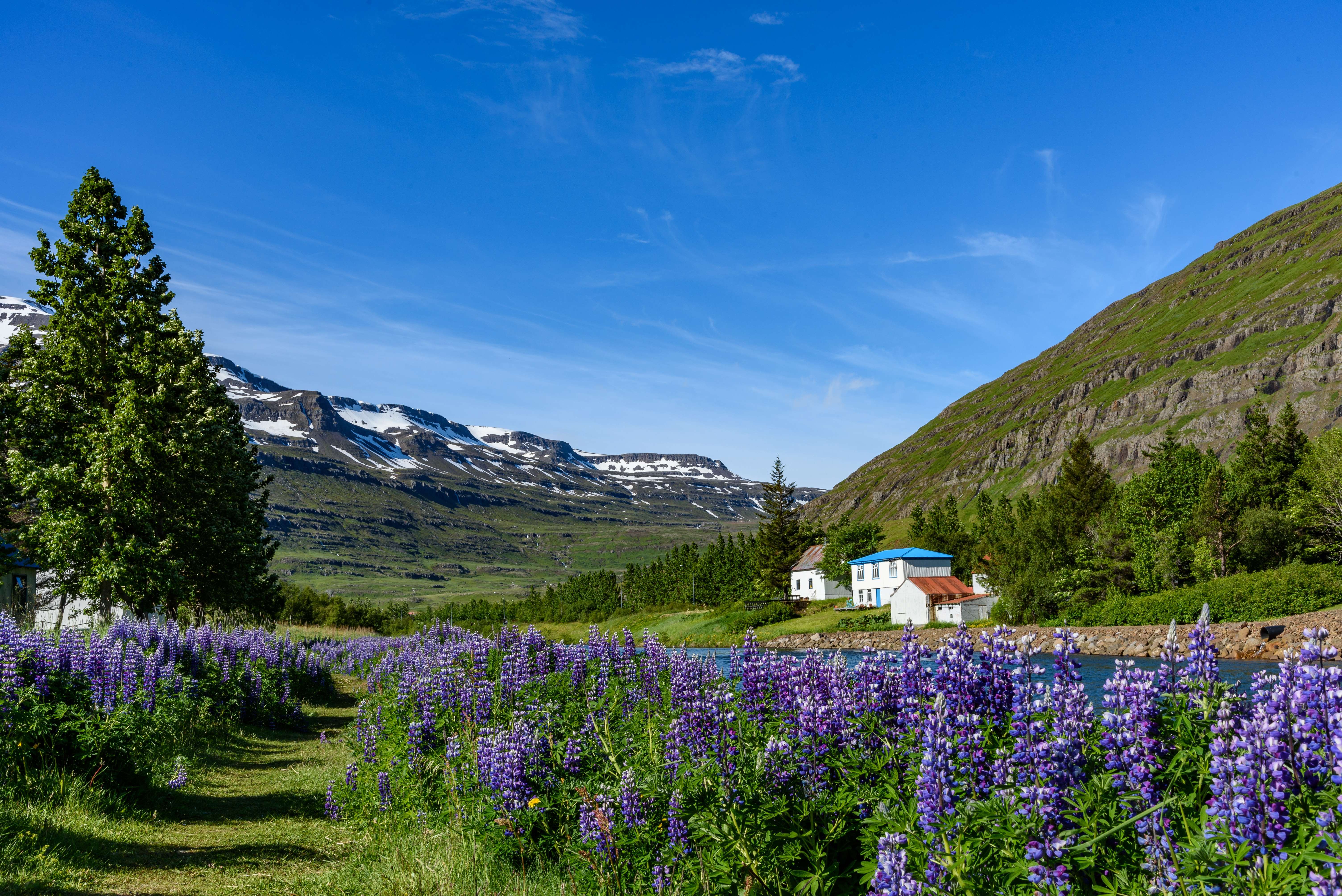 How to Reach Valley of Flowers