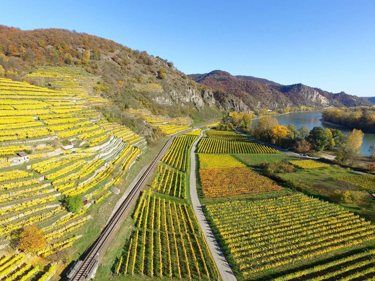 Visit A UNESCO Vineyard At Vevey
