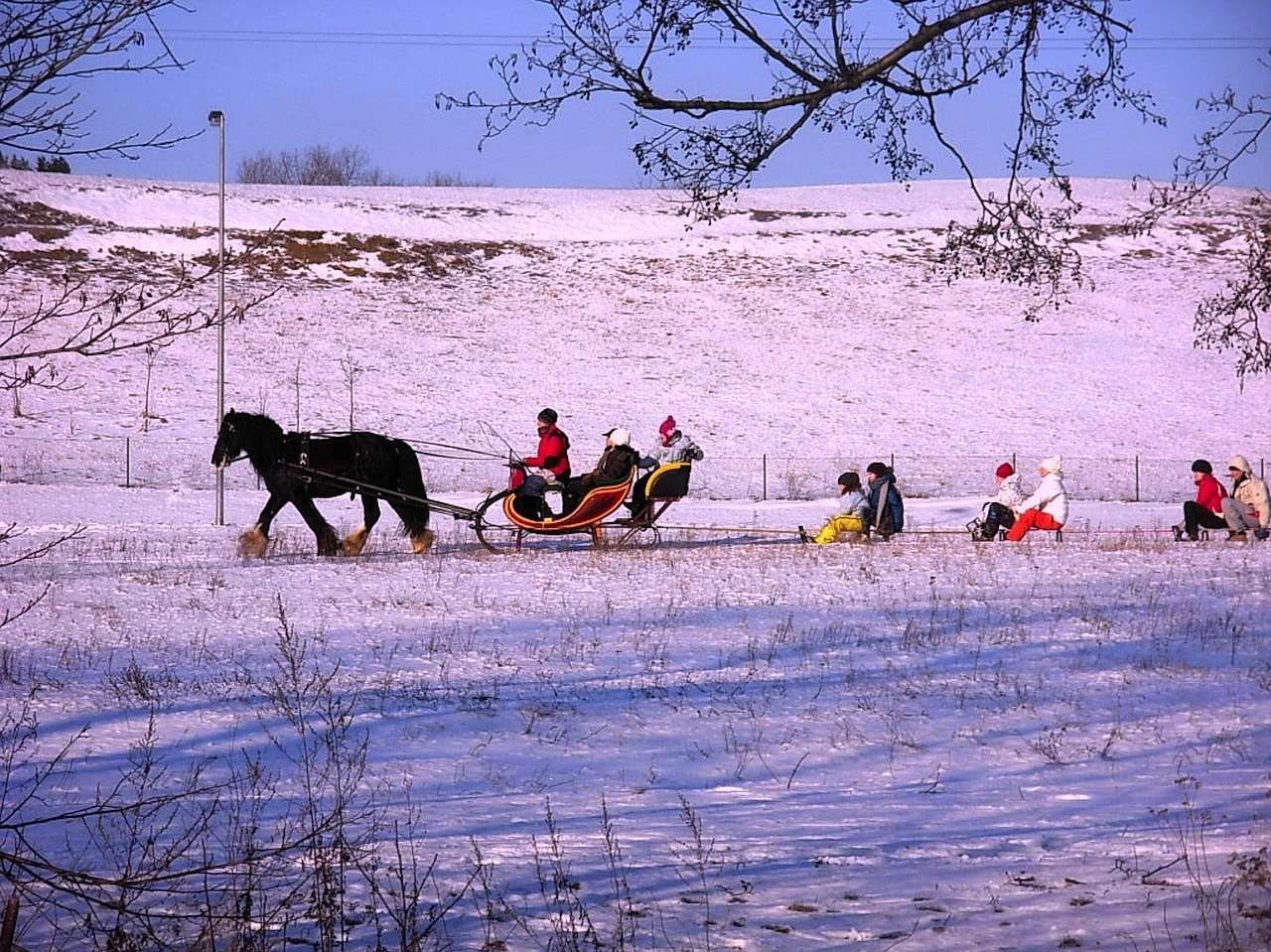 Experience A Husky Sleigh Ride