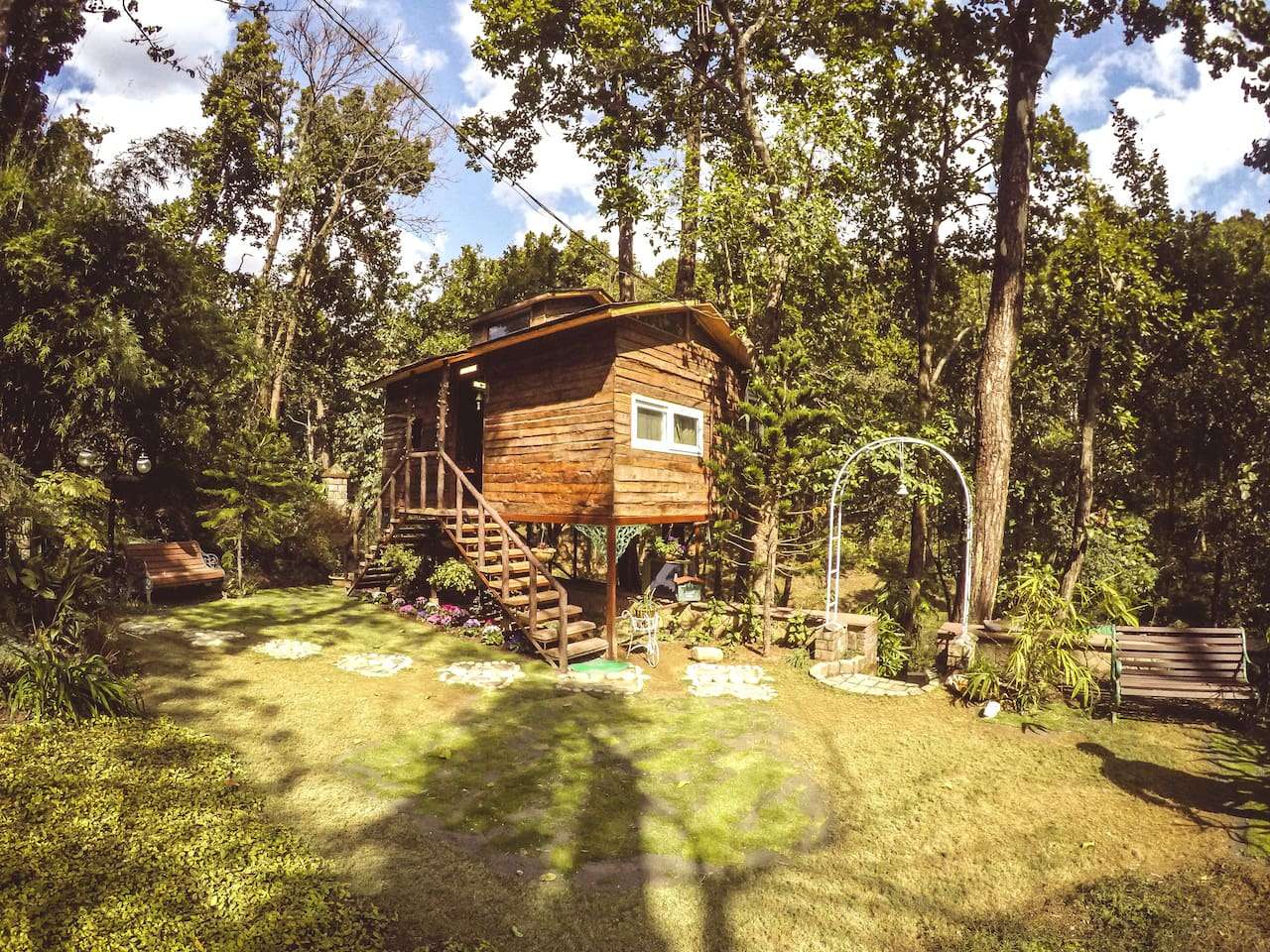 Tree House Stay in Dehradun
