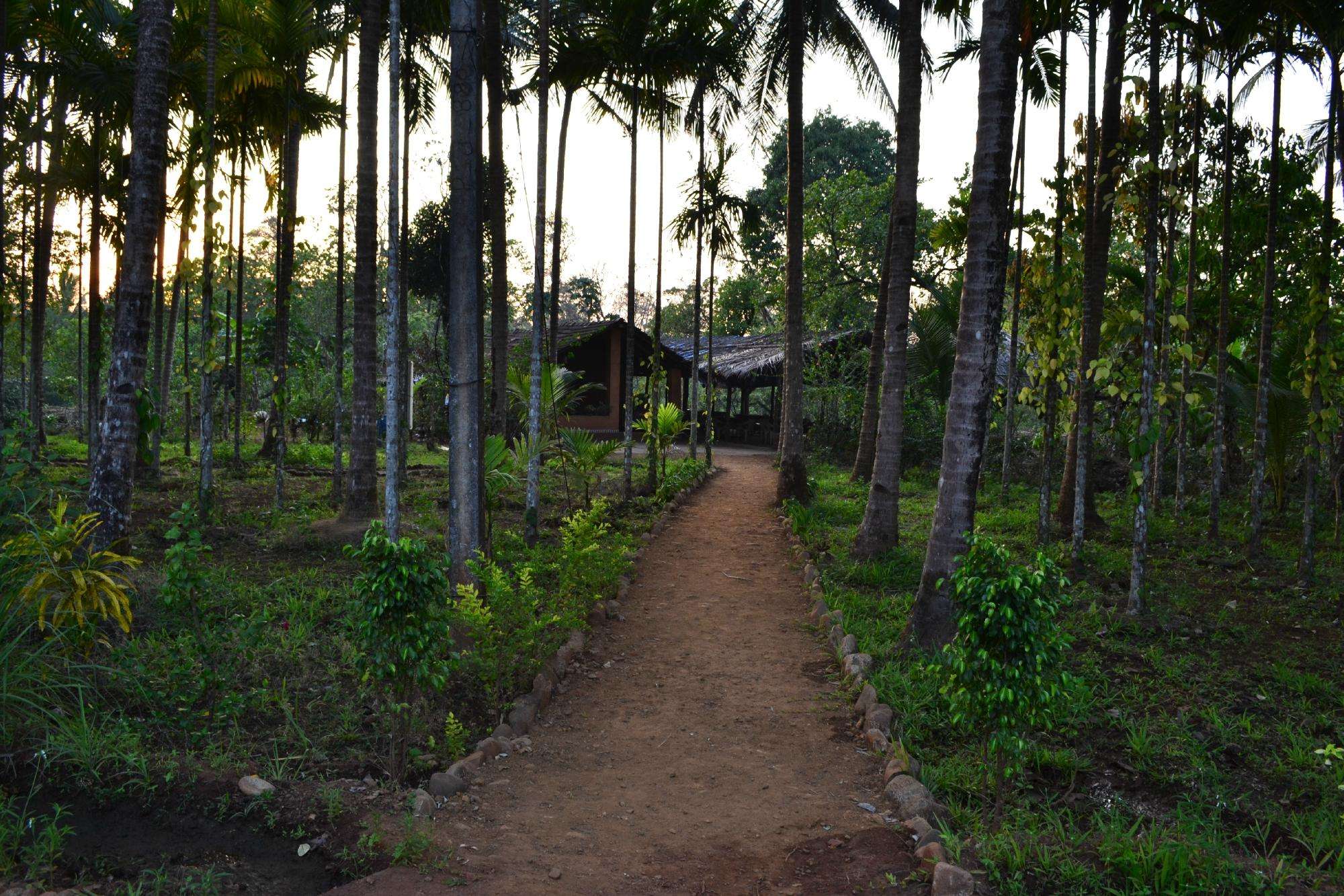 Nature's Lap South Goa