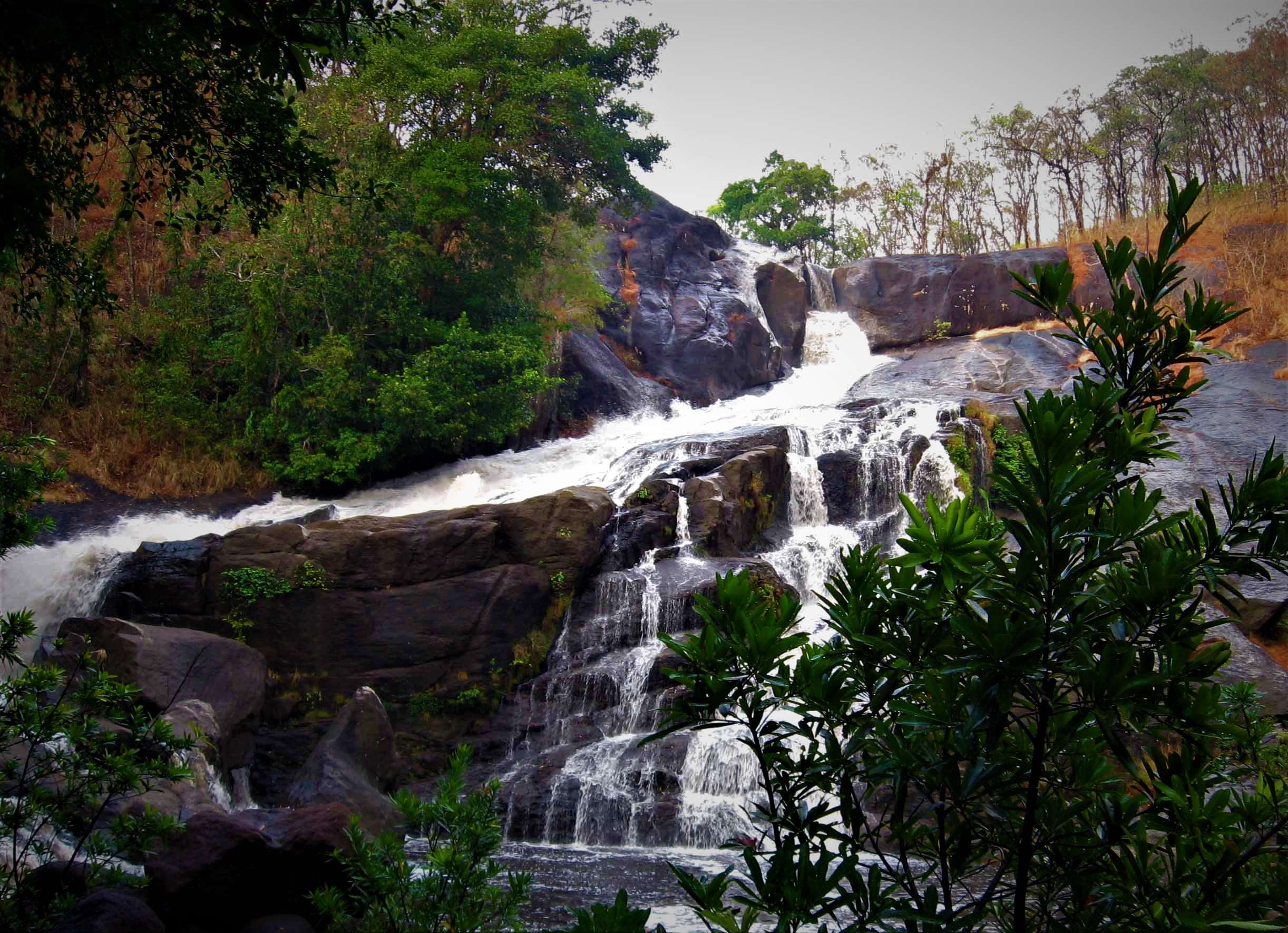 7 Waterfalls in Wayanad You Won't Want to Miss in {{year}}