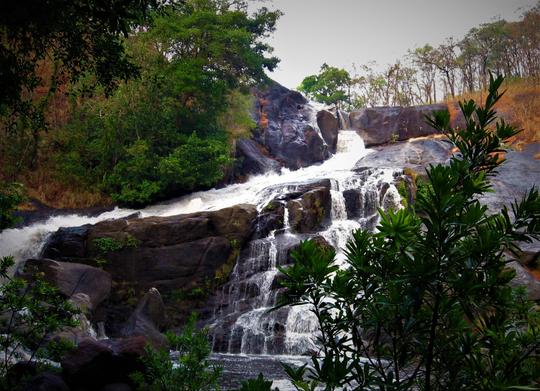 7 Waterfalls in Wayanad You Won't Want to Miss in {{year}}