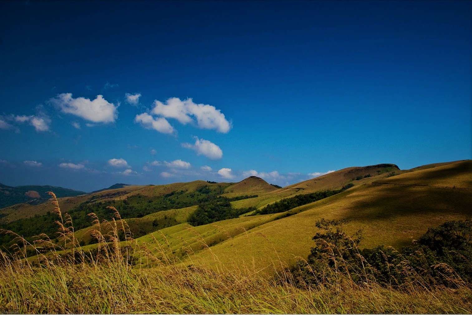 15 Places to visit in Kemmangundi For A Perfect Trip in {{year}}