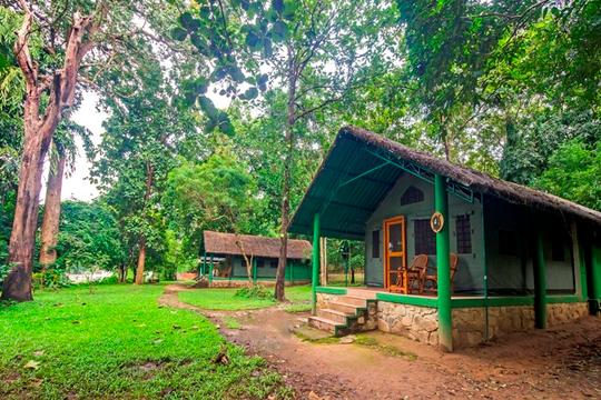 Jungle Stay Experience in Dandeli | Book @ Flat 15% off