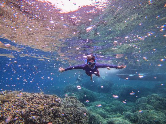 Cebu Scuba Diving, Book Now @ Flat 20% off