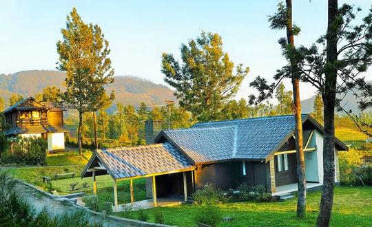 Homestay Amidst Tea Plantation in Ooty | Book @ Flat 20% off
