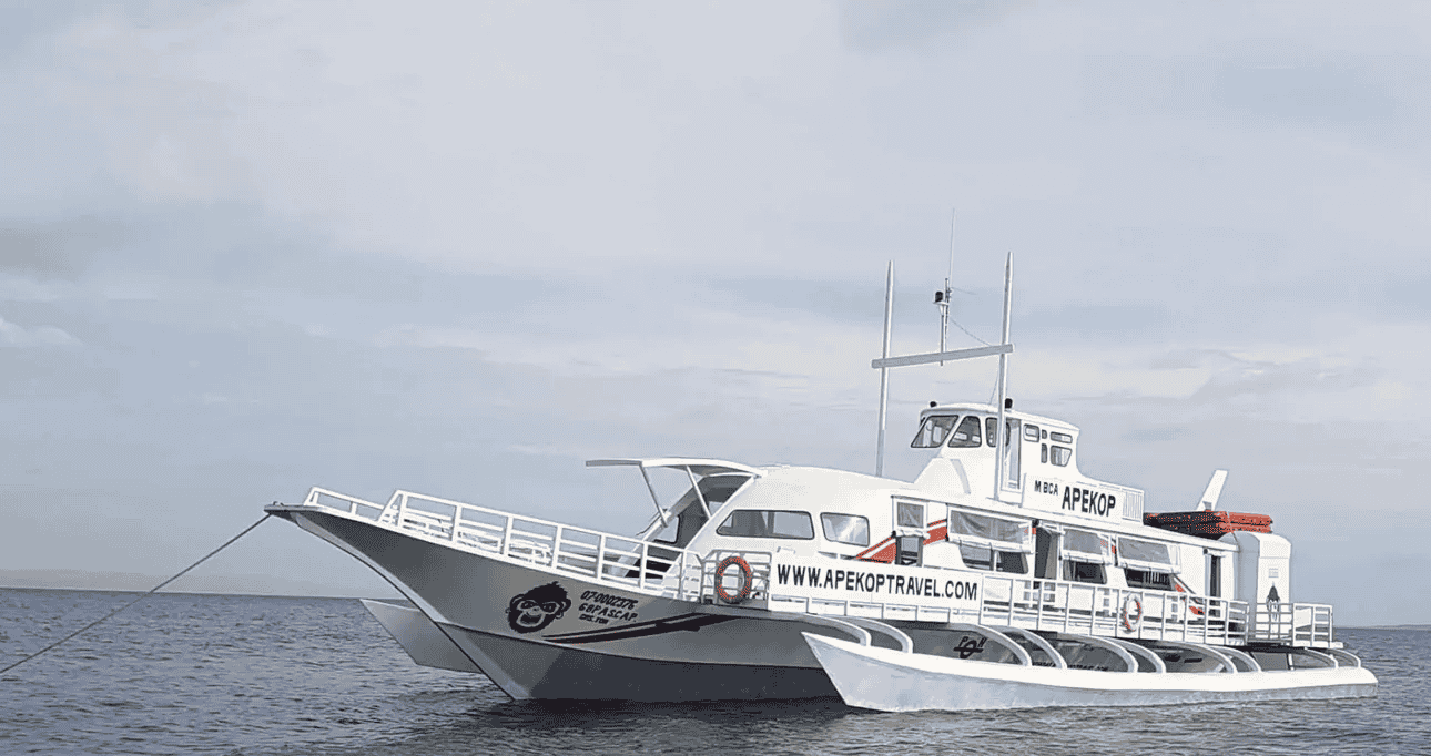 Panglao Bohol to Oslob Cebu Ferry Tickets, Book @ Flat 13% off