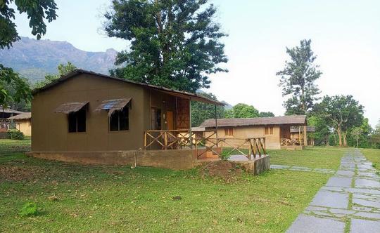 Jungle Home Stay Experience in Masinagudi | Book @ Flat 20% off