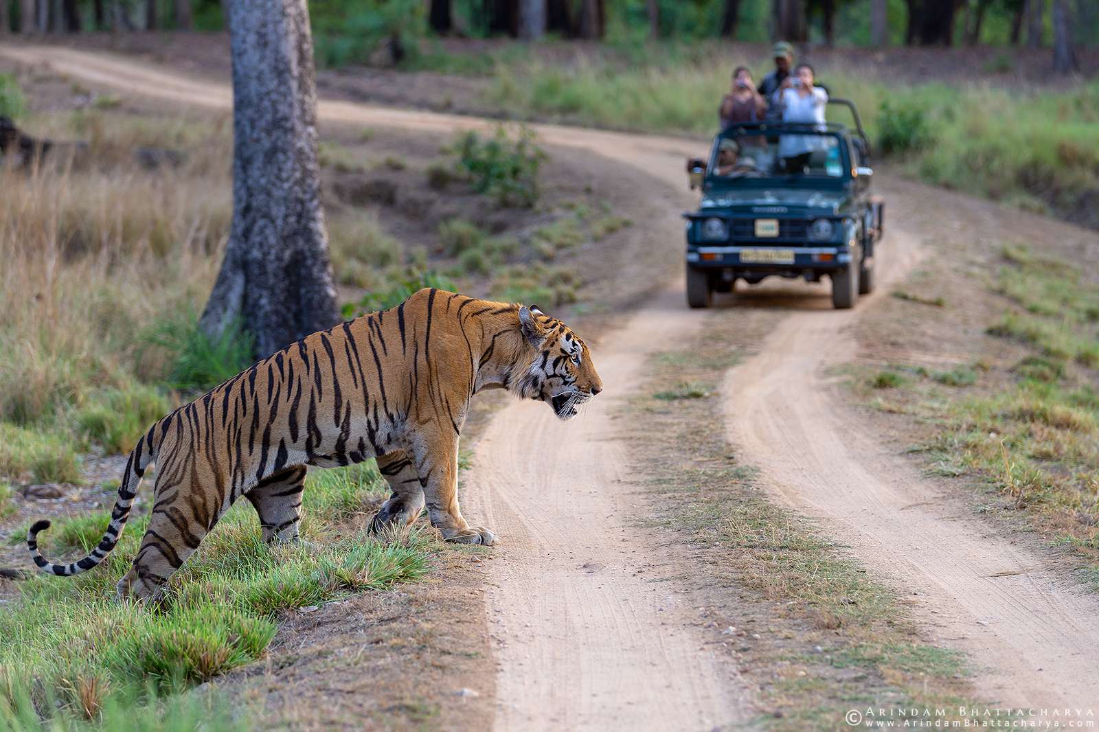 Jabalpur, Kanha, Pachmarhi Sightseeing Tour Package