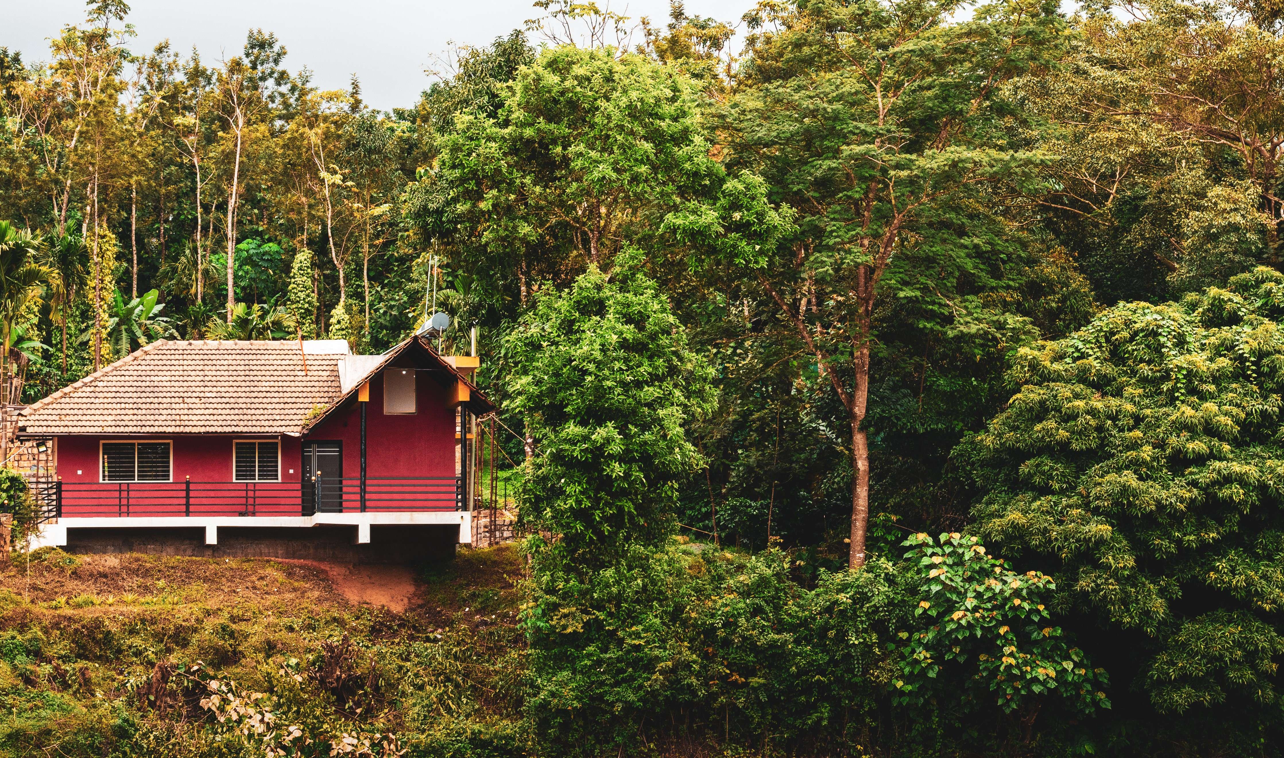 10 Homestay in Chikmagalur with Swimming Pool, Upto 50% Off