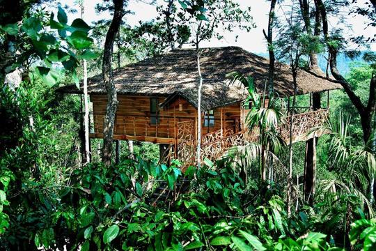 Tree House Stay in the Lap of Nature , Munnar
