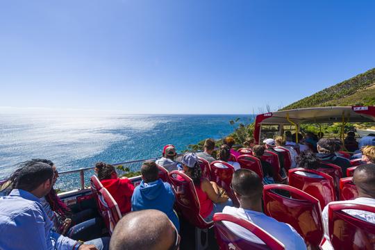 Cable Car Table Mountain Tickets & Hop on Hop off Combo, Book @ Flat 9% off