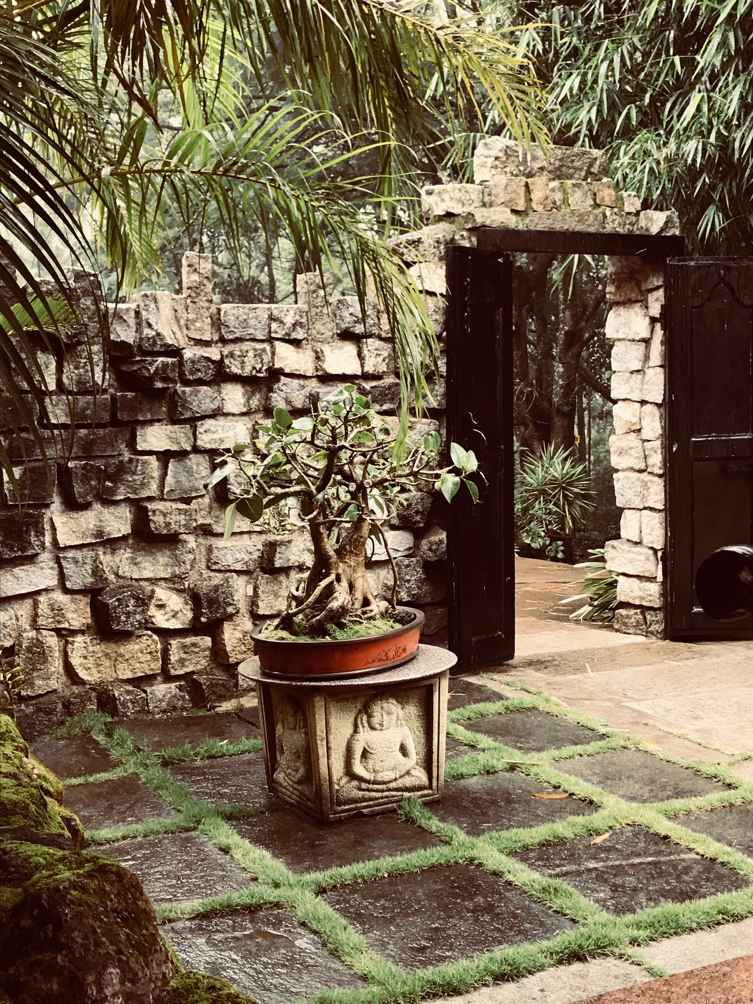 15 Villas in Chikmagalur in {{year}} (Location & Price)