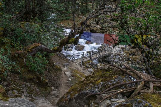 Goechala trek in July