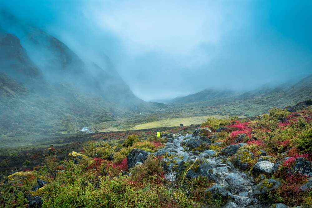 Goechala trek in November