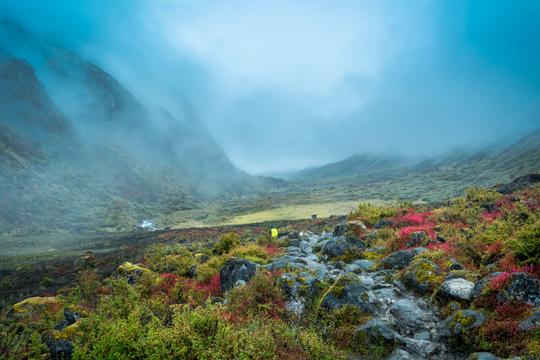 Goechala trek in November