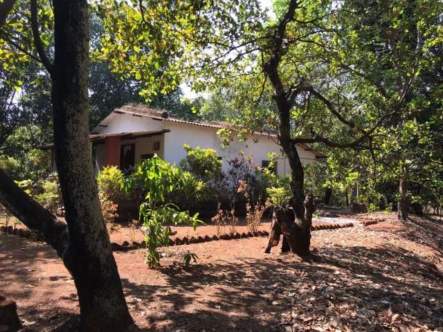 Pranay Farms - Jungle Farm House