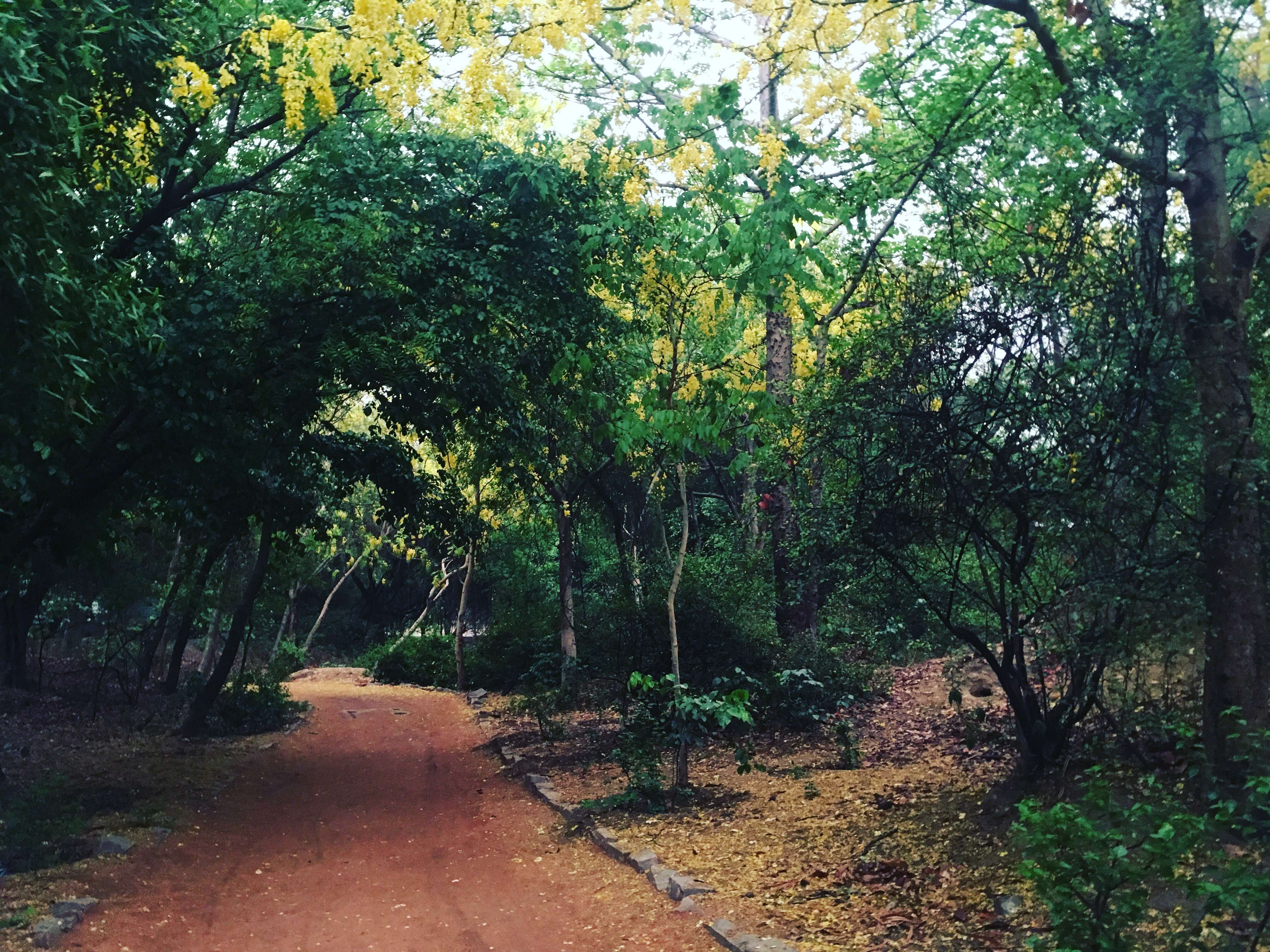 Sanjay Van