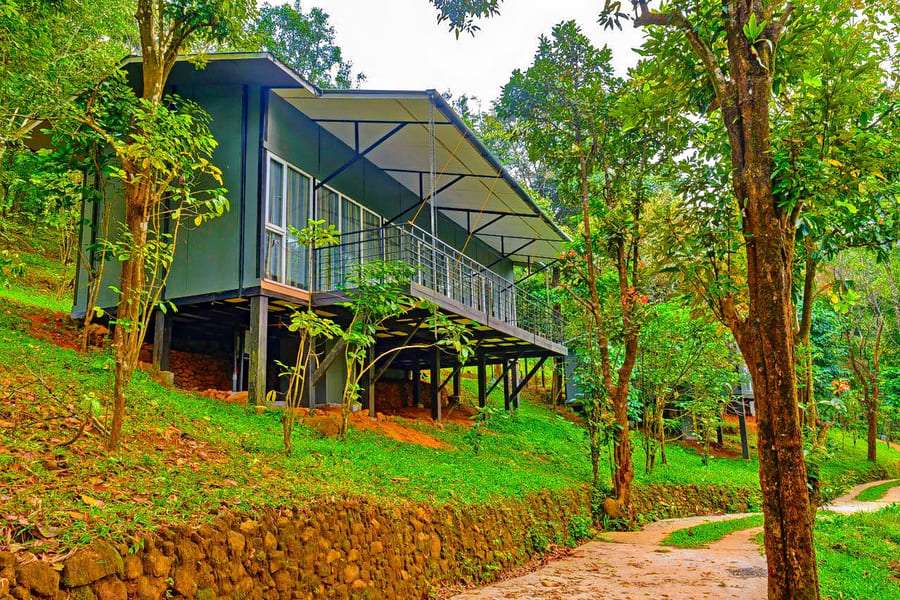 Wayanad Wild-CGH Earth
