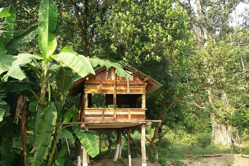 Tree House Stay in Jim Corbett