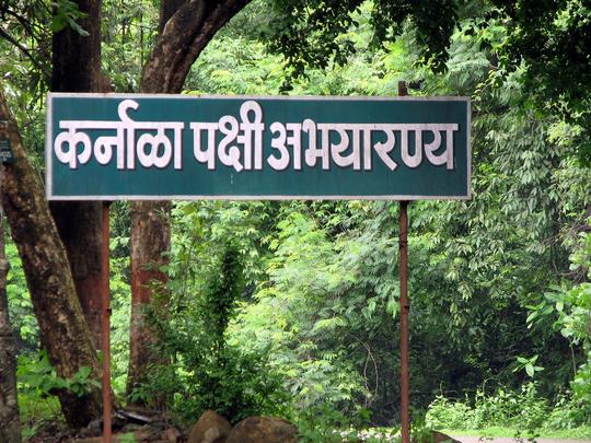 Karnala Bird Sanctuary Tour From Mumbai I Book & Save 18%