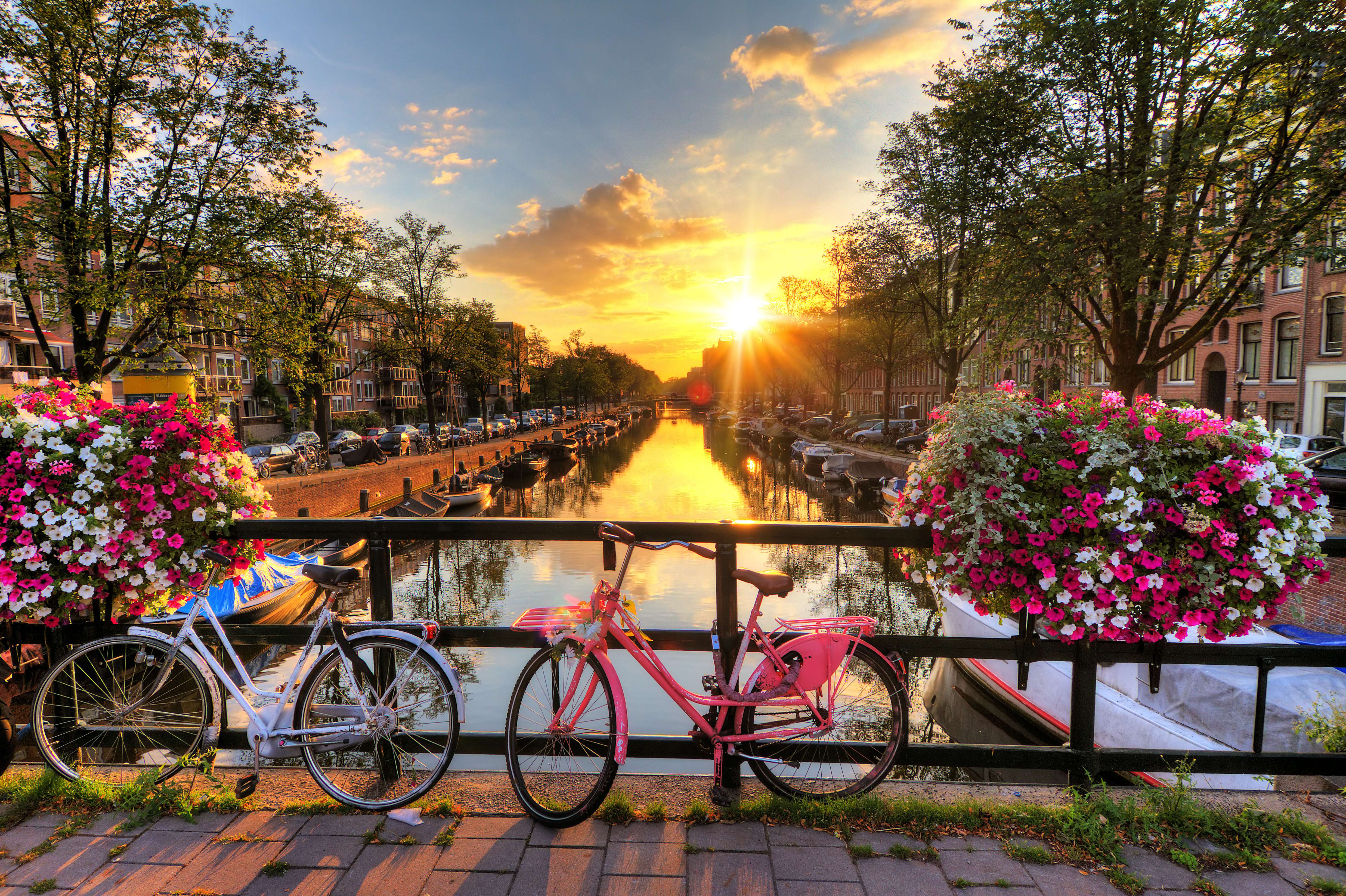  15 Things to Do in Amsterdam in September: Get Upto 35% Off