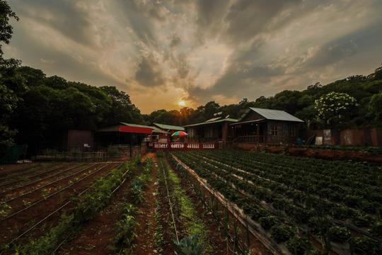 Garden View Stay in Mahabaleshwar