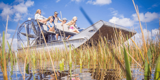 Everglades National Park Airboat Tour and Wildlife Show, Book @ Flat 20% off