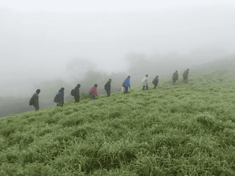 Jenukallu Gudda Trek, Sakleshpur | Book Online @ 25% Off