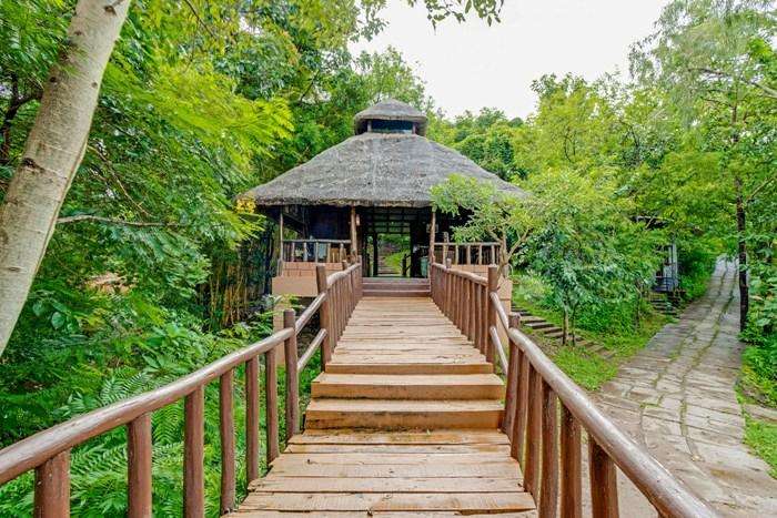 River Tern Lodge, Jungle Lodges, Lakkavalli