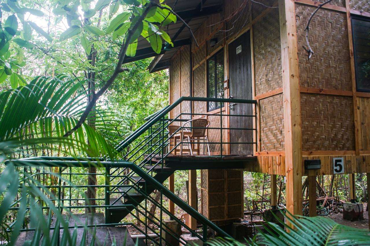 Farm Stay with Pool and Rope Activities near Igatpuri