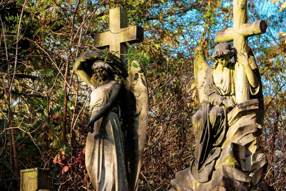 The Magnificent Seven